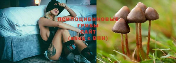 ALPHA PVP Новодвинск