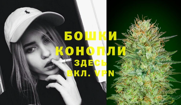 ALPHA PVP Новодвинск