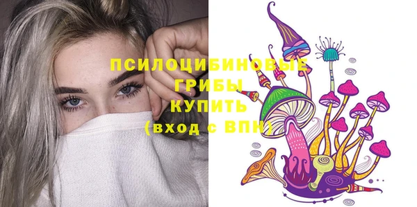 ALPHA PVP Новодвинск