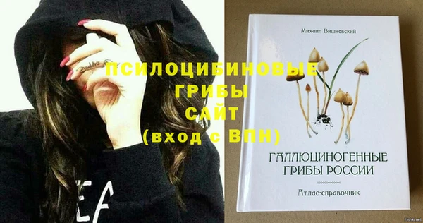 MDMA Premium VHQ Новозыбков