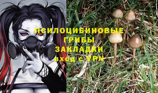 MDMA Premium VHQ Новозыбков